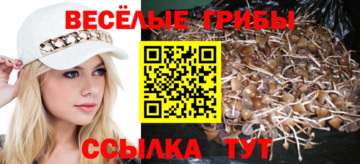 Галлюциногенные грибы ЛСД Усинск